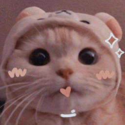 عکس کاربر - ⁦⁦♡(领先一点)⁦♡