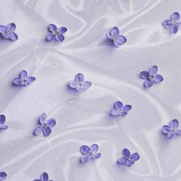 عکس کاربر - setare🎀