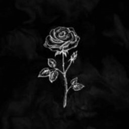 عکس کاربر - 🖤❤🖤