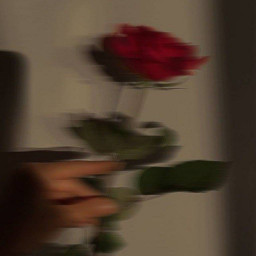 عکس کاربر - ...........🥀