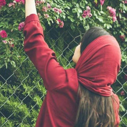 عکس کاربر - فرنیا