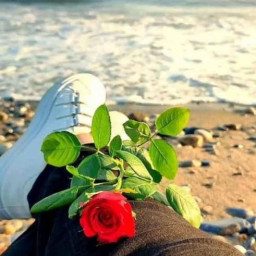 عکس کاربر - زهرام