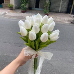 عکس کاربر - فا.سین؛
