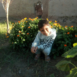 عکس کاربر