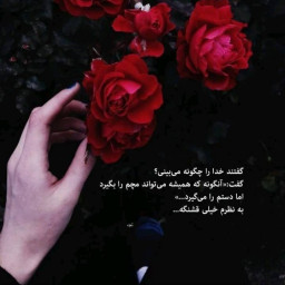 عکس کاربر - Zeinab Almasi