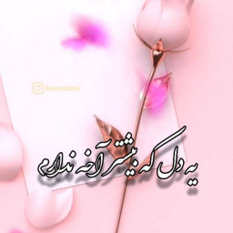 عکس کاربر - هادم007