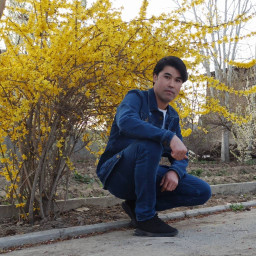 عکس کاربر