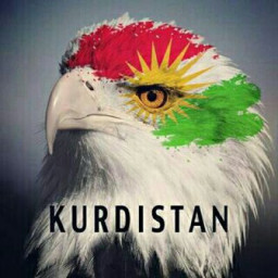 عکس کاربر