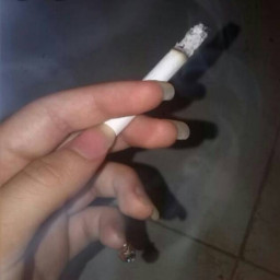 عکس کاربر
