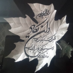 عکس کاربر - mohammad moazami