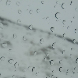 عکس کاربر - nima