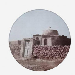 عکس کاربر - محمد