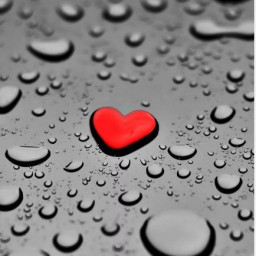 عکس کاربر - 💜بلک پینگ🖤