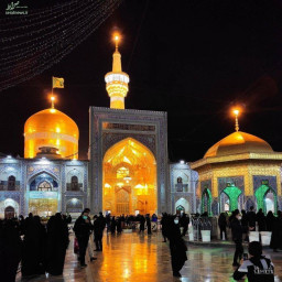 عکس کاربر - آدریان فدایی امام رضا
