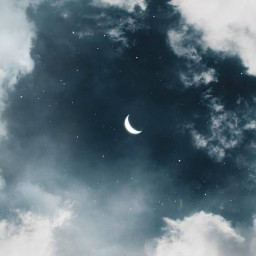 عکس کاربر - Rose Rain