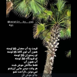 عکس کاربر - یکی از عاشقای پرسپولیس