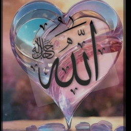 عکس کاربر - محمد