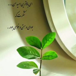 عکس کاربر - mo_18