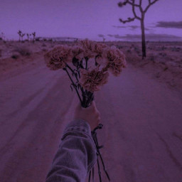 عکس کاربر - ارامش