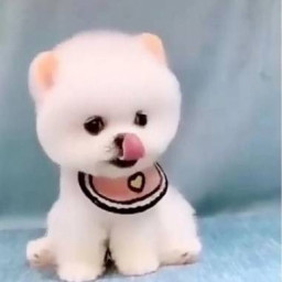 عکس کاربر - 🧸👻ヘリア👻🧸