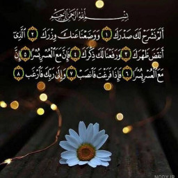 عکس کاربر