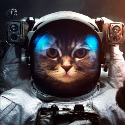 عکس کاربر - ☆SPACE CAT ☆