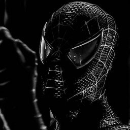 عکس کاربر - sajjad 🕷🕸