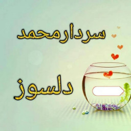 عکس کاربر