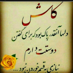 عکس کاربر - ثنا محمدی