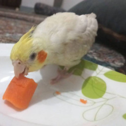 عکس کاربر - ۳۲۶۶۲۷