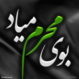 عکس کاربر - داش علی
