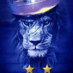 عکس کاربر - عشق فقط استقلال💙💙💙💙💙