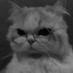 عکس کاربر - 🐾Kitty 🐾