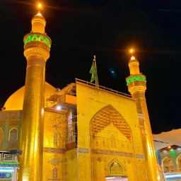 عکس کاربر - سید مجید جلالی