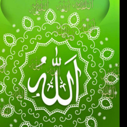 عکس کاربر - مبینا احمدی