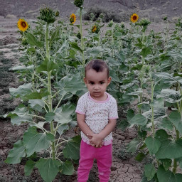 عکس کاربر - mobile plus