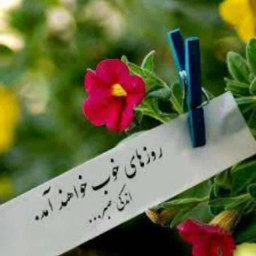 عکس کاربر - ۰۹۱۳۰۱۰۵۰۵۲