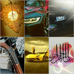 عکس کاربر - محسن غلام نیا