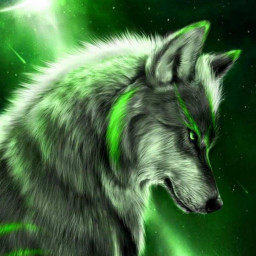 عکس کاربر - Amirxcannela AXA