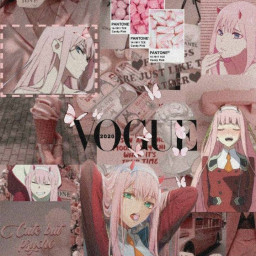 عکس کاربر - zeroTwo🍡