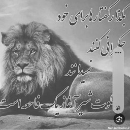 عکس کاربر - ALl