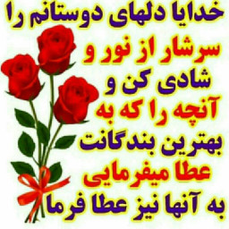 عکس کاربر - محمدجوادمحمودی نژاد