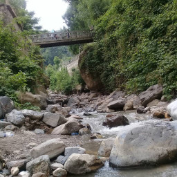 عکس کاربر