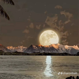 عکس کاربر - ساجد