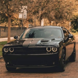 عکس کاربر