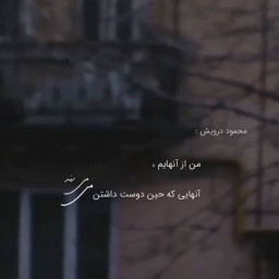 عکس کاربر - saman