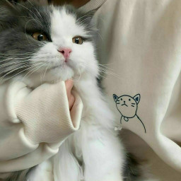 عکس کاربر