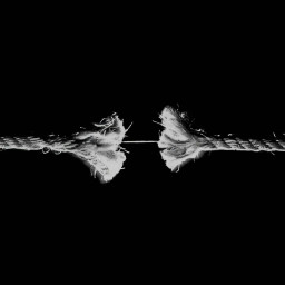 عکس کاربر - کاربر ایرانی