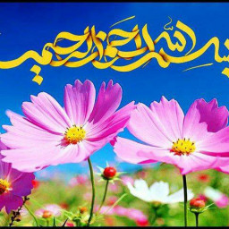 عکس کاربر - عارفه جواهری