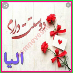 عکس کاربر - نرگس شمسینی